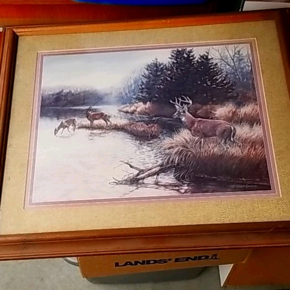 Deer print